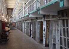 La Guida - Educazioni