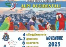 La Guida - Volatili e natura, Farigliano prepara la mostra internazionale