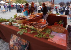 La Guida - Torna la “Castagna a Berness”: programma ricco di eventi, passeggiate e mostre