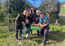 La Guida - Dal Sol Levante alla scoperta delle mele della bassa val Varaita