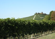 La Guida - Alla scoperta dei “cru” di Barbaresco nella zona di Neive