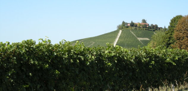 La Guida - Alla scoperta dei “cru” di Barbaresco nella zona di Neive