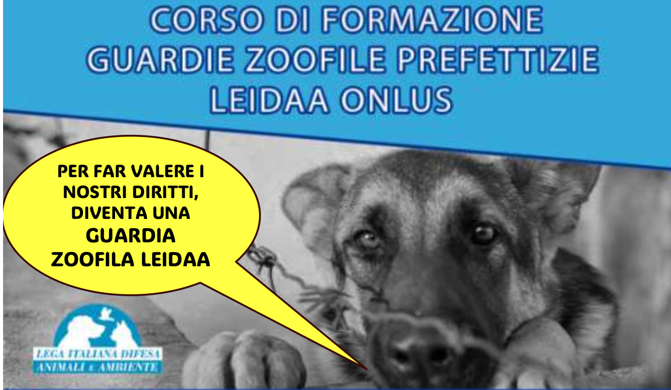 corso per guardie zoofile
