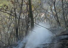 La Guida - Incendio boschivo nel pomeriggio a Frabosa Sottana