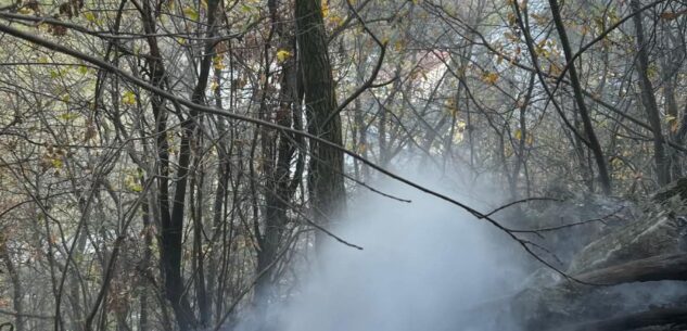 La Guida - Incendio boschivo nel pomeriggio a Frabosa Sottana