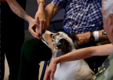 La Guida - “Una zampa sul cuore” si amplia in diversi reparti dell’ospedale Santa Croce e Carle – (Video)