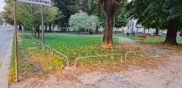 La Guida - Gli alberi tagliati in piazza del Cottolengo: “Perché sono stati abbattuti”?