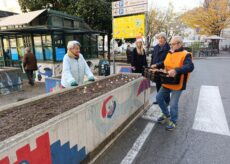 La Guida - Ad Alba, Cuneo, Chieri e Torino arriva Messer Tulipano (foto gallery)