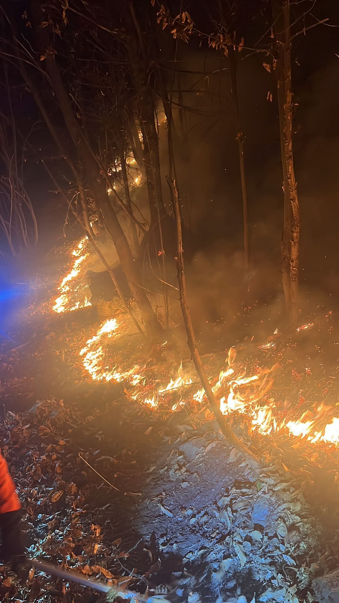 Incendio, fiamme sotto controllo ma il presidio continua