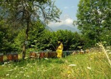 La Guida - Borgo, percorso formativo per aziende agricole locali