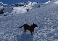 La Guida - Soccorso Alpino, si attiva l’unità cinofila da valanga