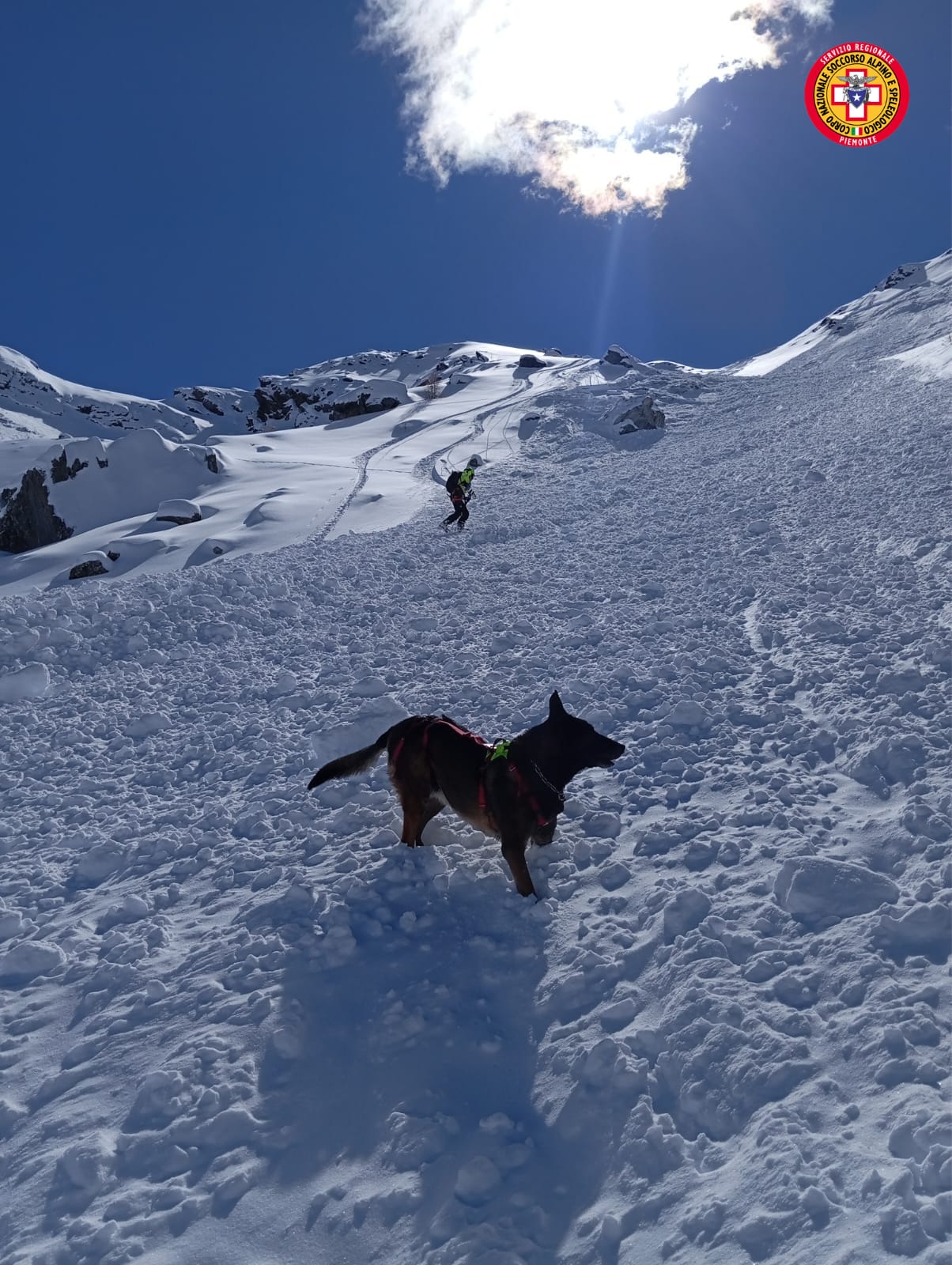 Soccorso Alpino, si attiva l’unità cinofila da valanga