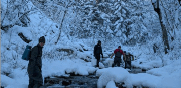 La Guida - Avviate in Valle Stura le operazioni di spremitura dei salmonidi