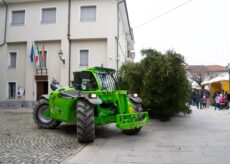 La Guida - A Roccavione torna il grande albero di Natale