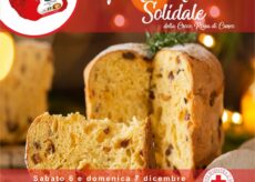 La Guida - Un panettone, un pulmino: l’appello alla generosità della Croce Rossa di Cuneo