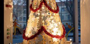 La Guida - Al Rondò dei Talenti l’albero di Natale con i sogni e le speranze dei passanti