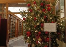 La Guida - Acceso a Montecitorio l’Albero di Natale arrivato da Paesana