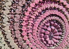 La Guida - In mostra “L’arte del riciclo”