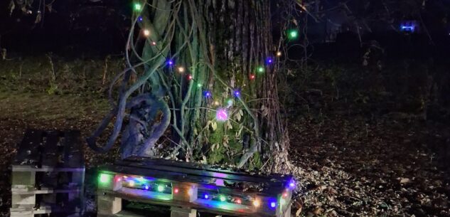 La Guida - Il glicine a forma di cuore si veste di luce