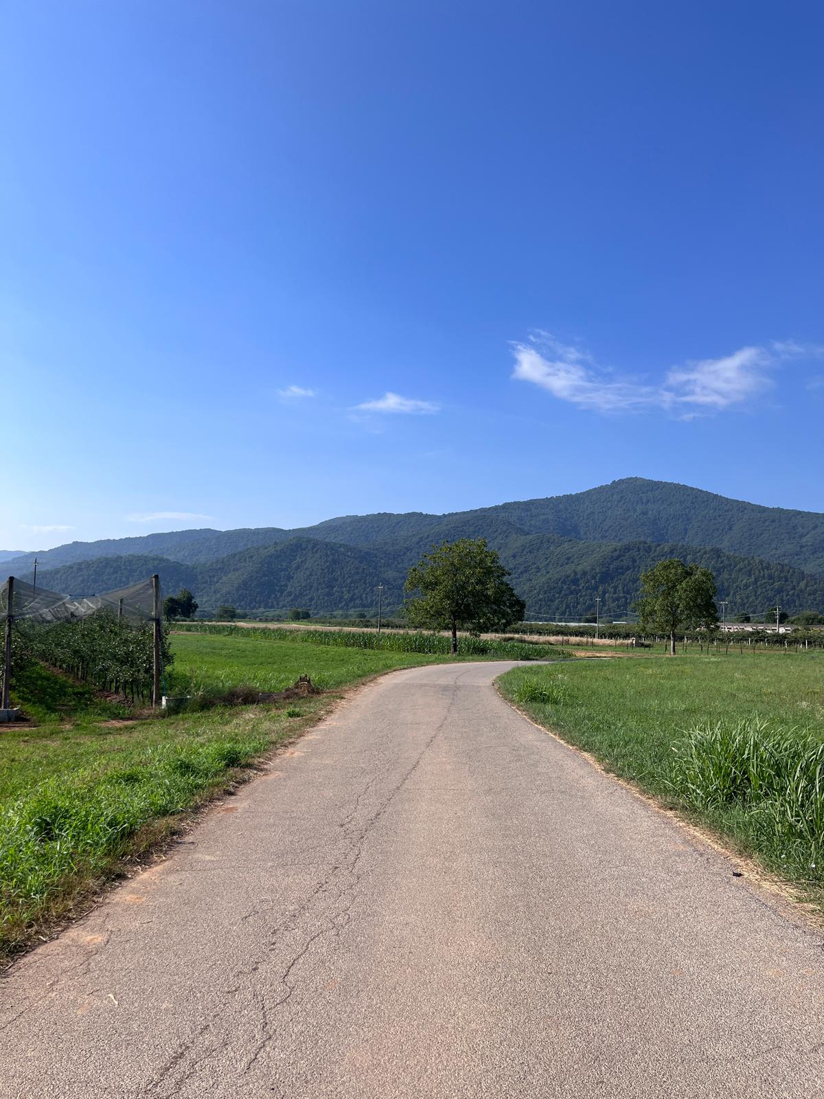 20 giorni di furti nella frazione Bottonasco in Valle Grana