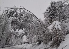 La Guida - La valle Gesso si è tinta di bianco
