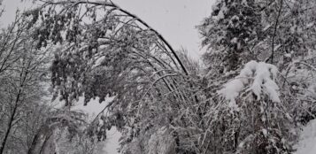 La Guida - La valle Gesso si è tinta di bianco