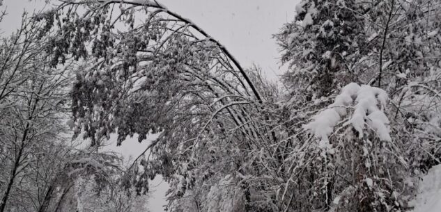La Guida - La valle Gesso si è tinta di bianco