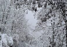 La Guida - Dal Naufragio esistenziale all’immersione nella natura che ci circonda