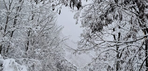 La Guida - Dal Naufragio esistenziale all’immersione nella natura che ci circonda