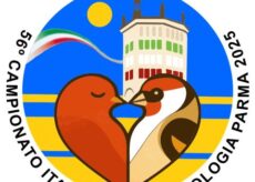 La Guida - Pioggia di medaglie nella “Granda” al campionato italiano di ornitologia