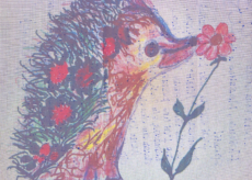 La Guida - La lettera di Brigitte Bardot al Centro Recupero Ricci “La Ninna”