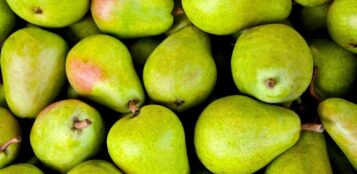 La Guida - Frutta, sbloccati i risarcimenti 2023-24 per pere e kiwi