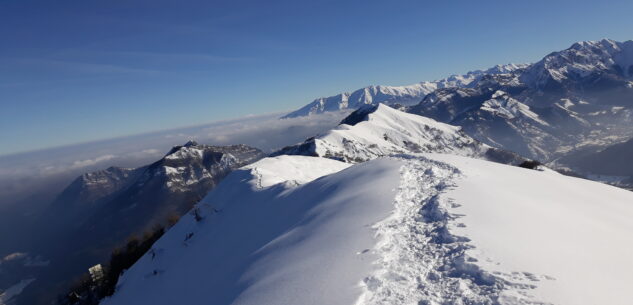 La Guida - Nello stupore della neve sulla cima Cialancia