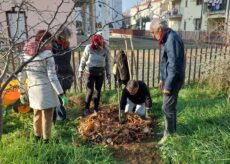 La Guida - Corso di potatura alla Casa del Quartiere Donatello di Cuneo