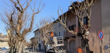 La Guida - Boves, interventi di potatura e pulizia degli alberi