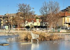 La Guida - Un carrello della spesa nel laghetto al Parco Parri