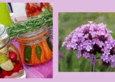 La Guida - Incontro per imparare a produrre aceto di mele e verdure fermentate