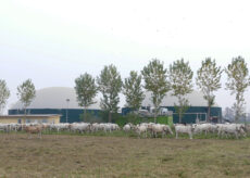La Guida - Impianti a biogas agricolo e a biomasse, Confagricoltura Cuneo: “Servono regole certe per garantire gli investimenti realizzati”