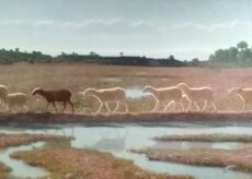 La Guida - Pellizza da Volpedo a Milano: tra etica sociale ed estetica della luce