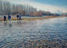 La Guida - Sempre meno trote marmorate nel torrente Pellice