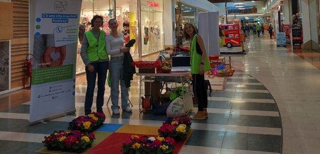 La Guida - Una primula per la vita