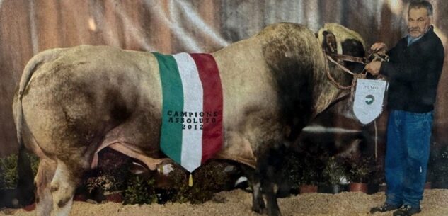 La Guida - L’addio allo storico allevatore di Limone
