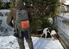 La Guida - Vignolo, intervento dell’unità cinofila antiveleno con il cane Argo