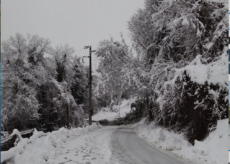 La Guida - Albero cade sui cavi elettrici a Mondovì: chiusa la strada provinciale Carassone-Piazza