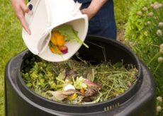 La Guida - Borgo, al via i controlli sulle compostiere