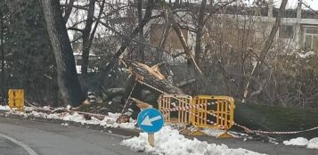 La Guida - San Rocco Castagnaretta, ciclabile interrotta dalla caduta di un albero