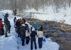 La Guida - Il Parco del Monviso cerca un affidatario per le sue attività
