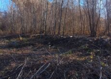 La Guida - Parco fluviale, pulito un tratto dell’alveo dello Stura