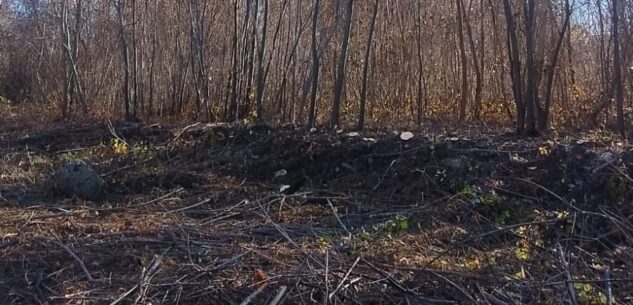 La Guida - Parco fluviale, pulito un tratto dell’alveo dello Stura