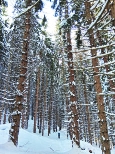 Colletto della Lausa, sopra Entracque